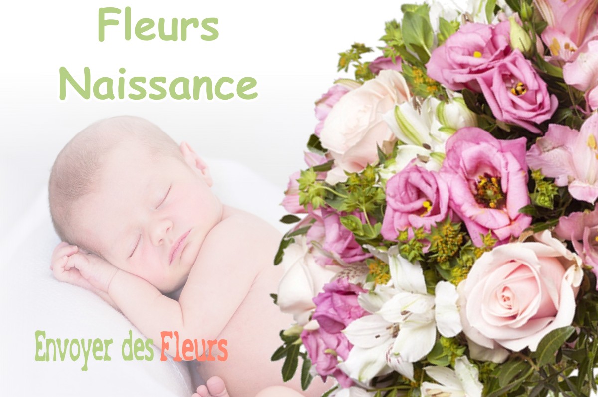 lIVRAISON FLEURS NAISSANCE à PAGNOZ